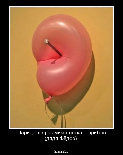 Шарик,ещё раз мимо лотка....прибью (дядя Фёдор)

