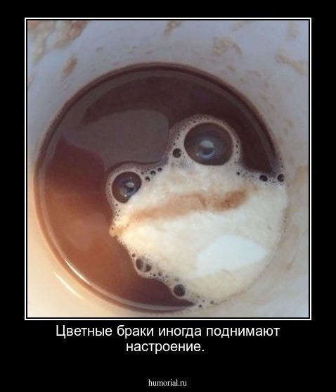Цветные браки иногда поднимают настроение.