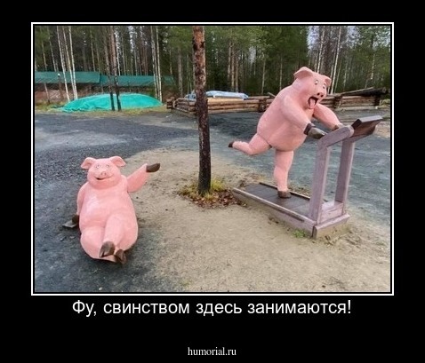 Фу, свинством здесь занимаются!