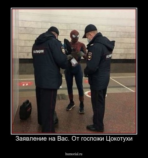 Заявление на Вас. От госпожи Цокотухи