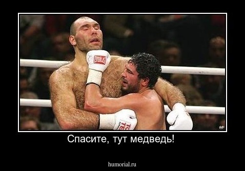 Спасите, тут медведь! 