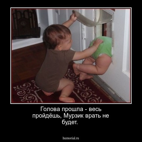 Голова прошла - весь пройдёшь, Мурзик врать не будет.