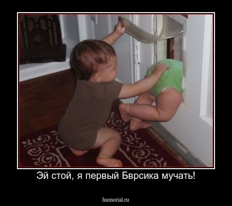 Эй стой, я первый Бврсика мучать!