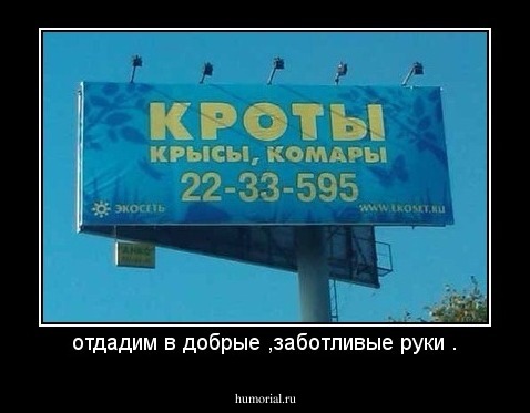 отдадим в добрые ,заботливые руки .