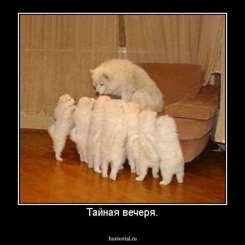 Тайная вечеря.