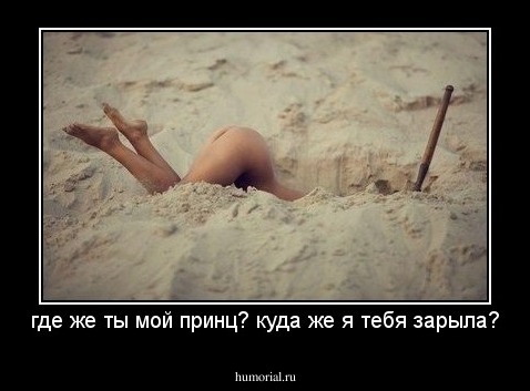 где же ты мой принц? куда же я тебя зарыла?