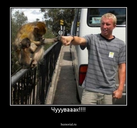 Чууувааак!!!!