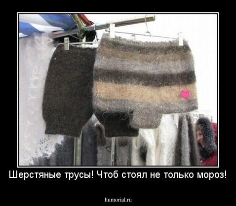 Шерстяные трусы! Чтоб стоял не только мороз!