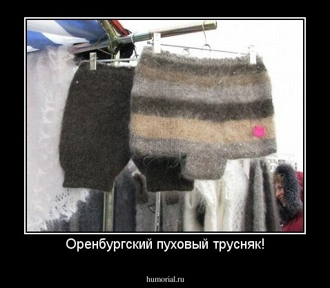 Оренбургский пуховый трусняк!