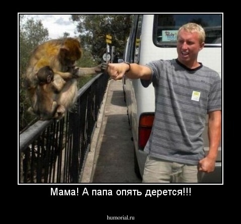 Мама! А папа опять дерется!!!