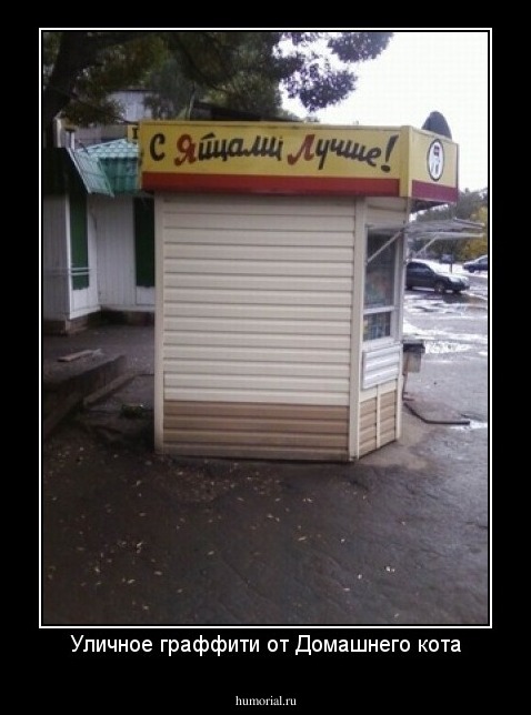 Уличное граффити от Домашнего кота