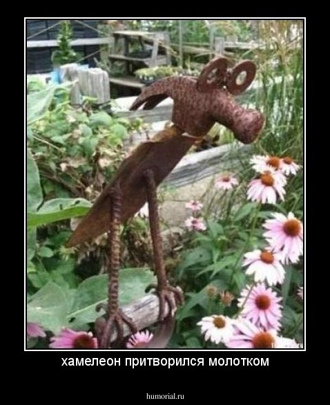 хамелеон притворился молотком