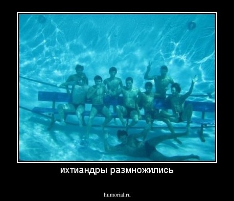 ихтиандры размножились