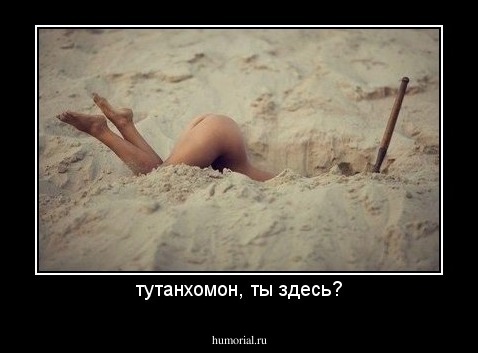 тутанхомон, ты здесь?