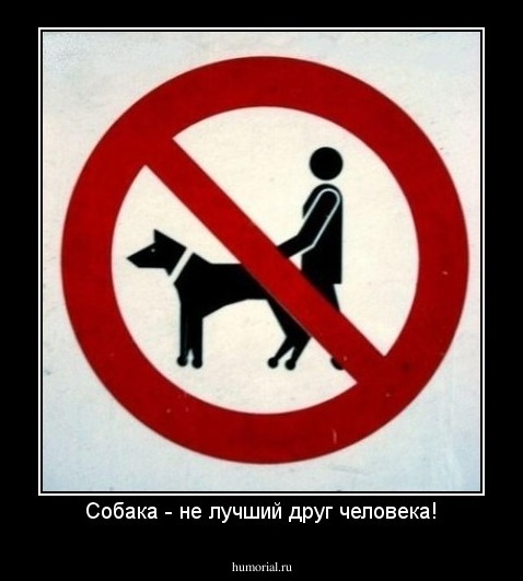 Собака - не лучший друг человека!