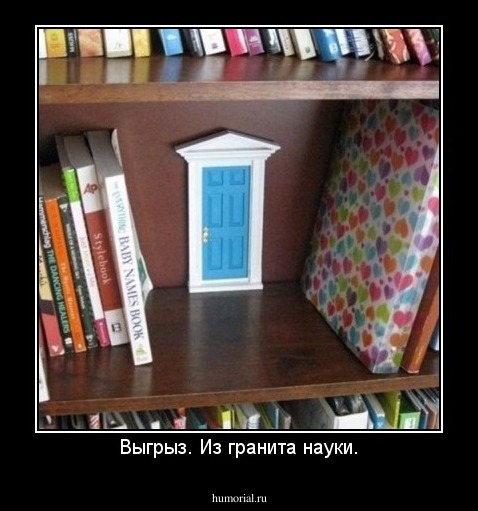 Выгрыз. Из гранита науки.