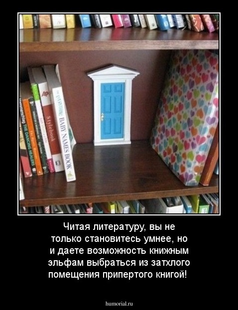 Читая литературу, вы не только становитесь умнее, но и даете возможность книжным эльфам выбраться из затхлого помещения припертого книгой!
