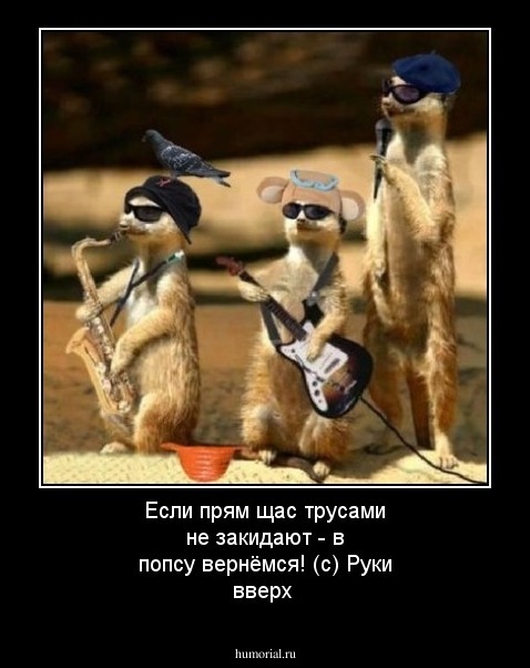 Если прям щас трусами не закидают - в попсу вернёмся! (с) Руки вверх