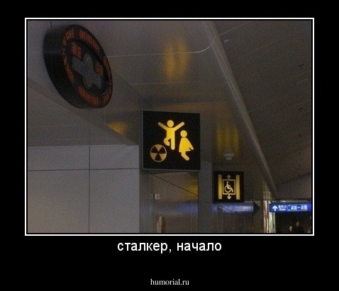 сталкер, начало