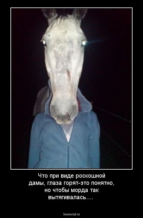 Что при виде роскошной дамы, глаза горят-это понятно, но чтобы  морда так вытягивалась....