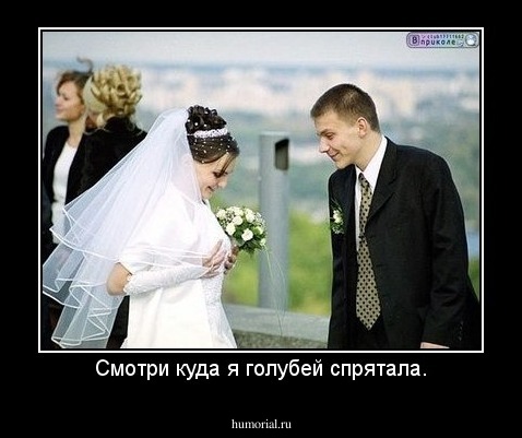Смотри куда я голубей спрятала.