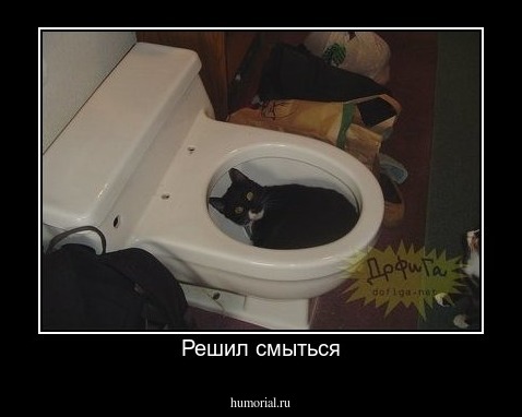 Решил смыться