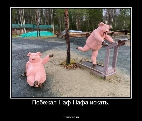 Побежал Наф-Нафа искать.