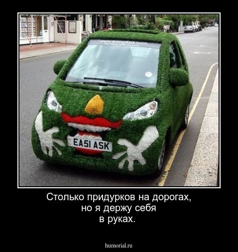 Столько придурков на дорогах, но я держу себя в руках.