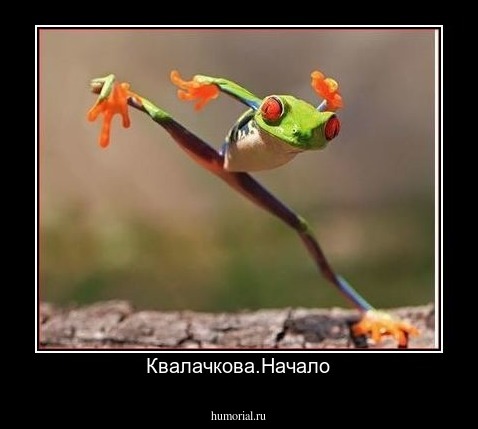Квалачкова.Начало