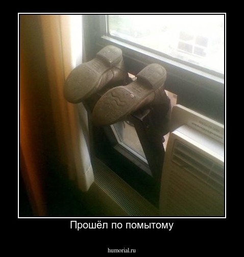 Прошёл по помытому