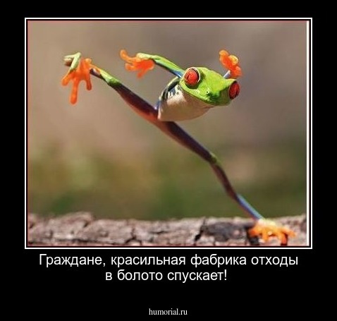 Граждане, красильная фабрика отходы в болото спускает!