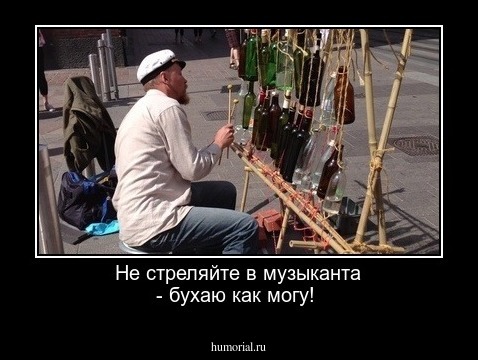 Не стреляйте в музыканта - бухаю как могу! 