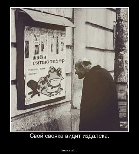 Свой свояка видит издалека.