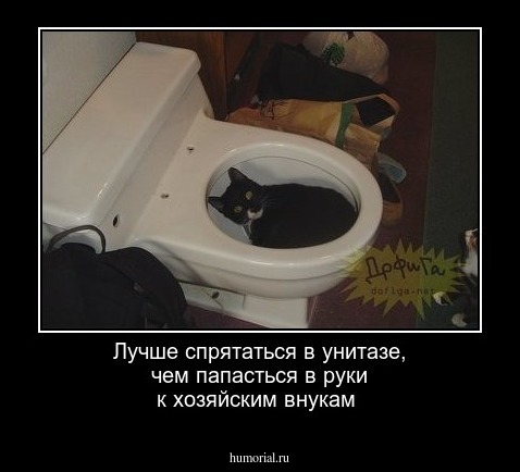 Лучше спрятаться в унитазе, чем папасться в руки к хозяйским внукам