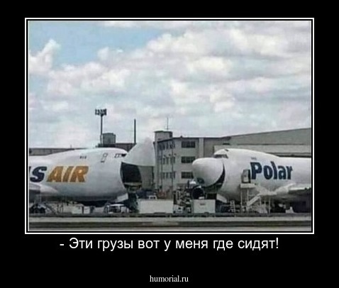- Эти грузы вот у меня где сидят!