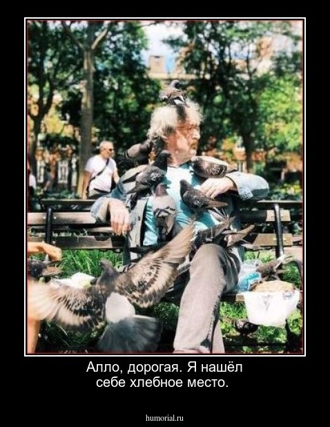 Алло, дорогая. Я нашёл себе хлебное место.