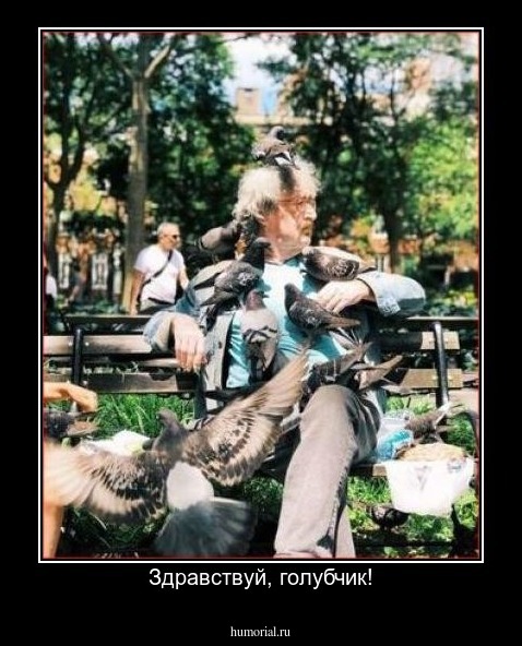 Здравствуй, голубчик!