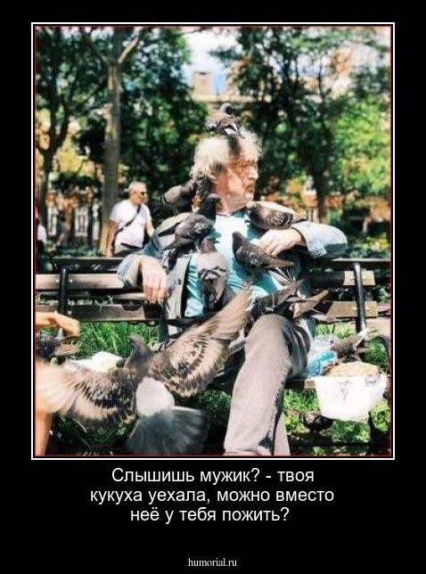 Слышишь мужик? - твоя кукуха уехала, можно вместо неё у тебя пожить?