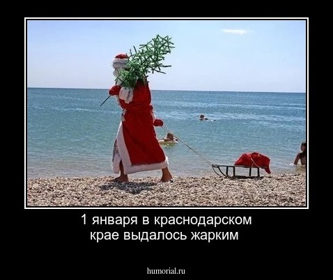 1 января в краснодарском крае выдалось жарким 