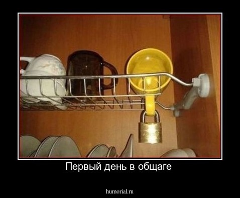 Первый день в общаге 