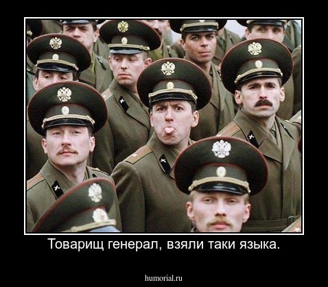 Товарищ генерал, взяли таки языка.