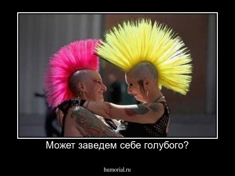 Может заведем себе голубого?