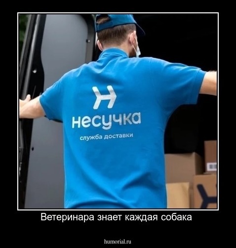 Ветеринара знает каждая собака 