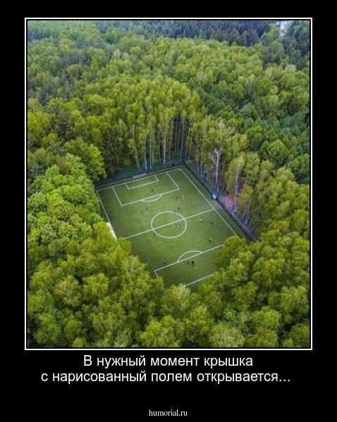 В нужный момент крышка с нарисованный полем открывается... 