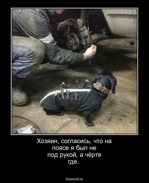 Хозяин, согласись, что на поясе я был не под рукой, а чёрте где.