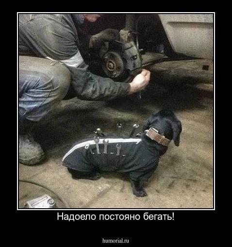 Надоело постояно бегать!