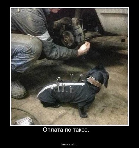 Оплата по таксе.    