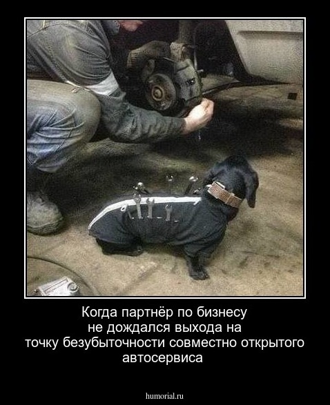 Когда партнёр по бизнесу не дождался выхода на точку безубыточности совместно открытого автосервиса
