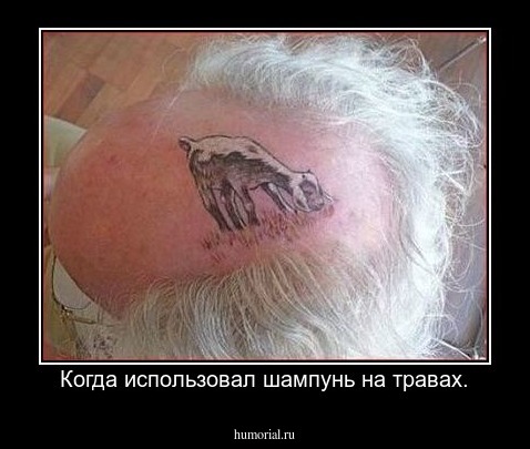 Когда использовал шампунь на травах.