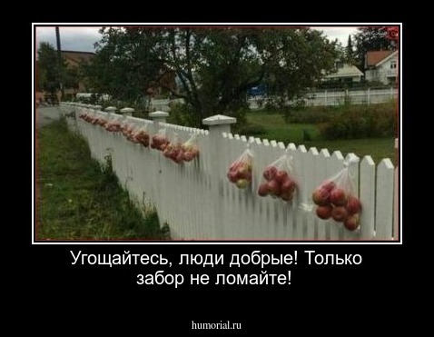 Угощайтесь, люди добрые! Только забор не ломайте!